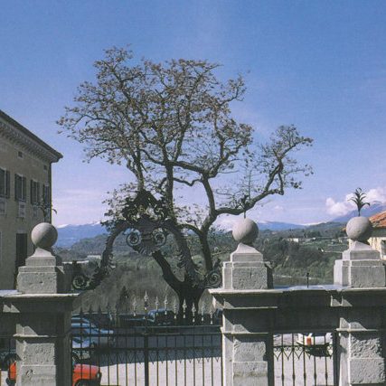 Palazzo Doglioni Dalmas Belluno