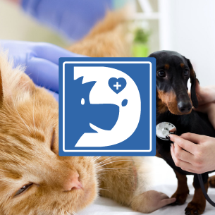 Veterinario a Belluno