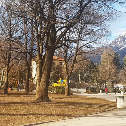 Parco città di Bologna a Belluno